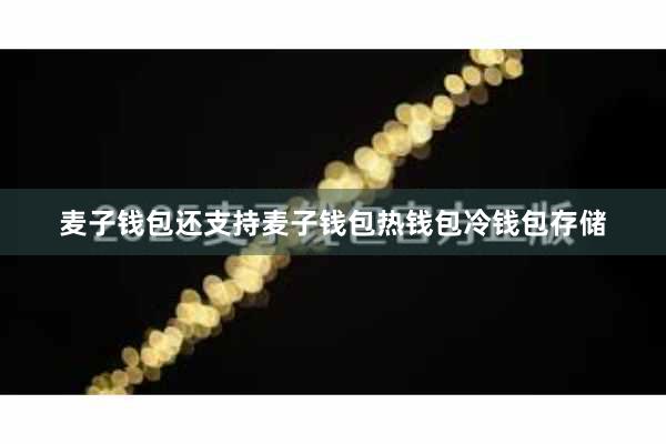 麦子钱包还支持麦子钱包热钱包冷钱包存储