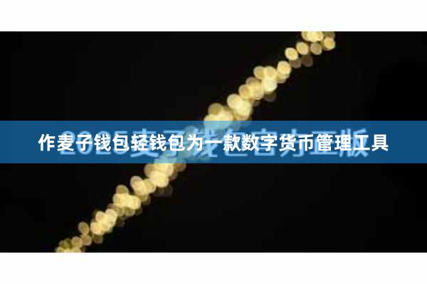 作麦子钱包轻钱包为一款数字货币管理工具