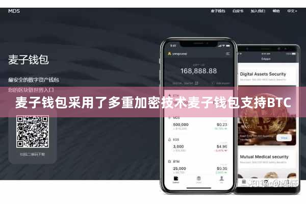 麦子钱包采用了多重加密技术麦子钱包支持BTC