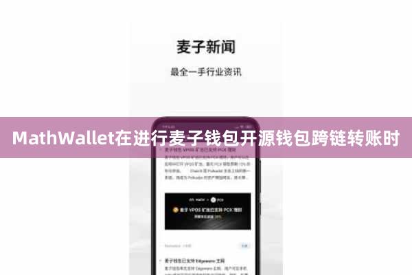 MathWallet在进行麦子钱包开源钱包跨链转账时
