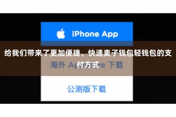 给我们带来了更加便捷、快速麦子钱包轻钱包的支付方式