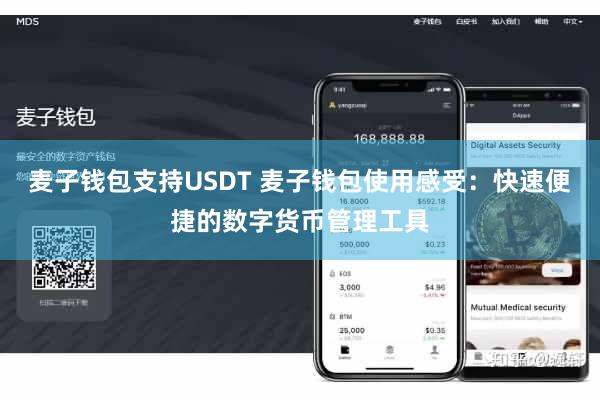 麦子钱包支持USDT 麦子钱包使用感受：快速便捷的数字货币管理工具