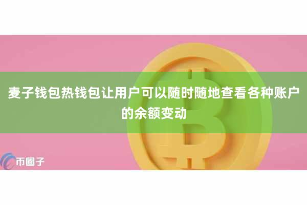 麦子钱包热钱包让用户可以随时随地查看各种账户的余额变动