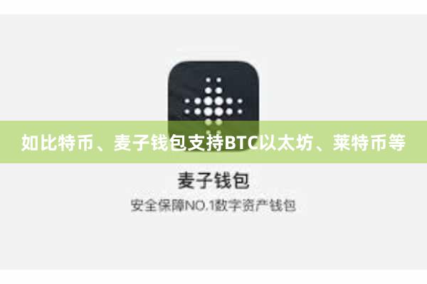 如比特币、麦子钱包支持BTC以太坊、莱特币等