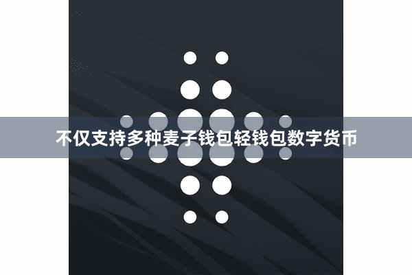 不仅支持多种麦子钱包轻钱包数字货币