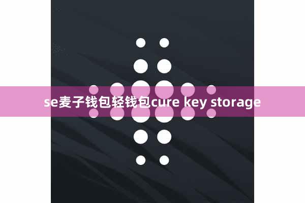 se麦子钱包轻钱包cure key storage