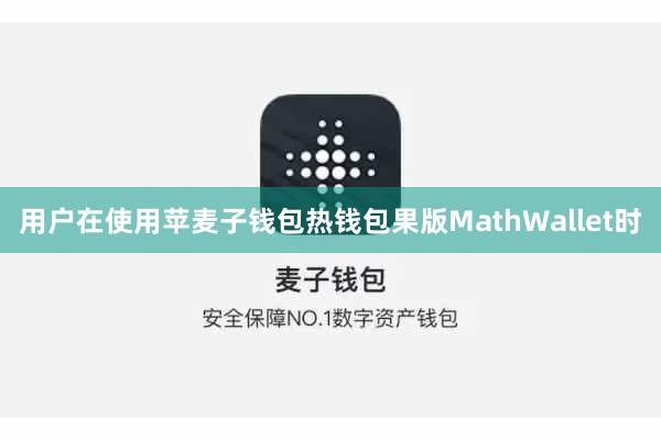 用户在使用苹麦子钱包热钱包果版MathWallet时