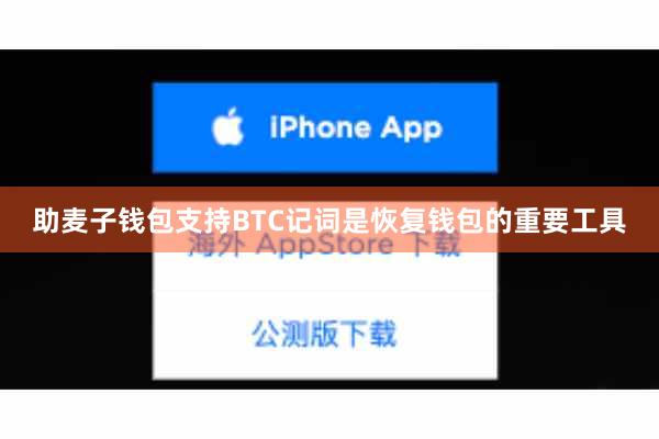 助麦子钱包支持BTC记词是恢复钱包的重要工具