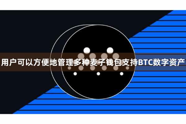 用户可以方便地管理多种麦子钱包支持BTC数字资产