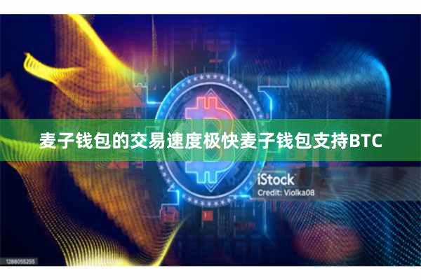 麦子钱包的交易速度极快麦子钱包支持BTC