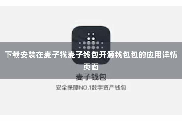 下载安装在麦子钱麦子钱包开源钱包包的应用详情页面