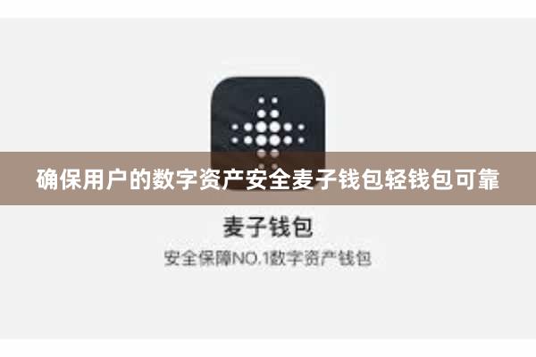 确保用户的数字资产安全麦子钱包轻钱包可靠