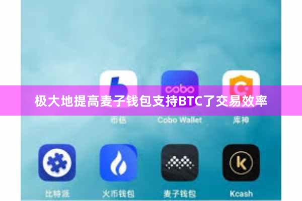 极大地提高麦子钱包支持BTC了交易效率